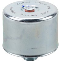 Donaldson Aerating filter P172386