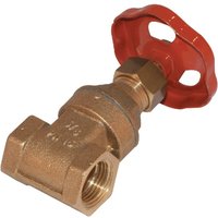 Kramp Gate valve BSP 4" female PN10 MS4SAPN10