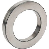 INA Inner plate ZS101154