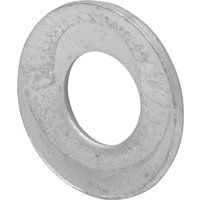 Non Original Rip-Lock Washer M10 FZB RL10P200