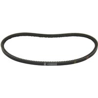 Massey Ferguson (AGCO) V-belt V32889500