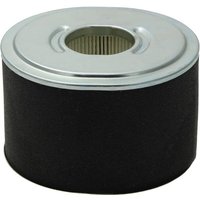 Briggs & Stratton Air filter 592605