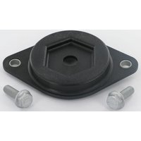 Vicon Locking Disc VN79220028