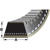 Vapormatic Belt (x2) VPE6417