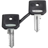 Schneider-Electric Set of keys N455 Ronis ZBG455
