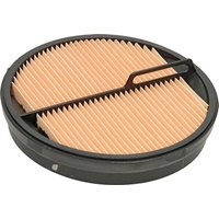 Donaldson Air filter inner P547520