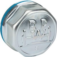 BPW Hub cap 0321225020