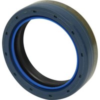 Spicer Dana Seal 2110602001