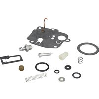 Briggs & Stratton Carburettor repair kit 494623