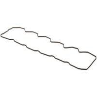 FPT Industrial Cylinder head gasket cover 504070038FPT