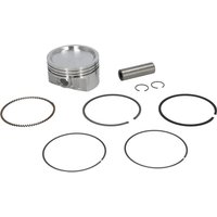 Briggs & Stratton Piston assembly 843805