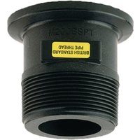 Banjo Flange coupling 2"FP x 2" BSP male M220BSP