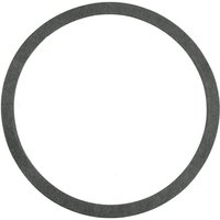 Agria Gasket AGW32098
