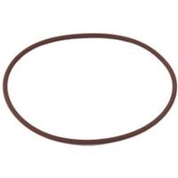 FPT Industrial O-ring 17292081FPT