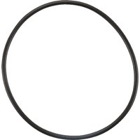 Massey Ferguson (AGCO) Thermostat Gasket 4223842M1