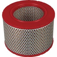 MANN-FILTER Air filter element C15556
