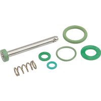 Birchmeier Gasket kit trigger Viton (10B) REB 11664910