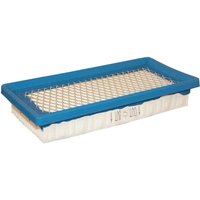 Briggs & Stratton Air filter cartridge (4145) 494511S