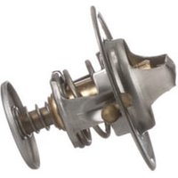 FPT Industrial Thermostat 87803664FPT