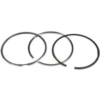 FPT Industrial Piston ring set standard 500055919FPT