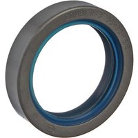 Spicer Dana Seal 051719N