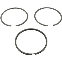 Briggs & Stratton Piston ring set .020 499998
