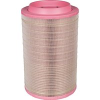 MANN-FILTER Air filter element C258605