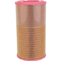 MANN-FILTER Air filter C2914202