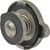Caterpillar Cap 3792768