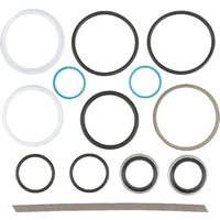 Fendt (AGCO) Steering cylinder seal Kit G001990010010