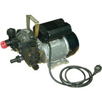 Annovi Reverberi Pump AR 202 VRI EM 230 V BlueFlex 16312AR
