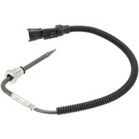Weidemann Sensor 1000343951