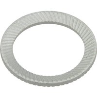 Kuhn Retaining ring 80600031