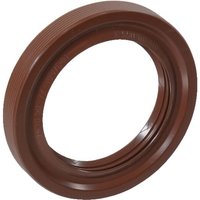 Fendt (AGCO) Oil seal X550110410000