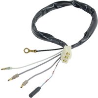 Honda Wiring assembly 32105ZJ1800