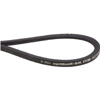 AS-Motor V-belt 9.7x875Lw DIN7753 E06255ASM