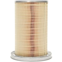 MANN-FILTER Air filter C193841