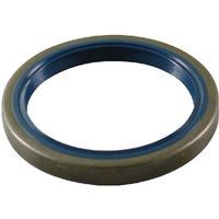 ZF Seal ring 0634309112