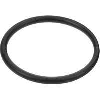 Kuhn O-ring 82062226