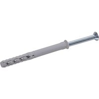 Fischer Frame fixing SXR 8x100 50pcs 503001
