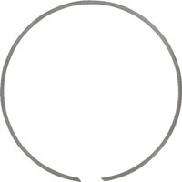 IDC ® Snap ring internal 230x3mm BR230RF