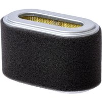 Honda Air filter 17210ZF5010