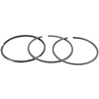 FPT Industrial Piston ring set STD 1931019FPT
