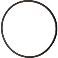 Arag Seal 255x3.53mm 70 shore black 3562040090