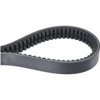 Votex Drive belt 95122023