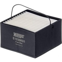 Hengst Fuel filter insert E1030K01