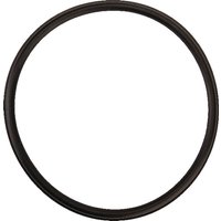 Battioni Pagani Lip seal 6" SA2