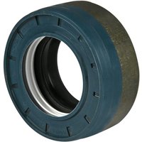 Carraro Oil seal CI644813
