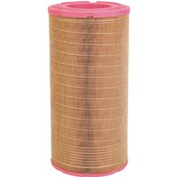 MANN-FILTER Air filter C240152