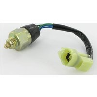 Etesia Safety switch ET27855